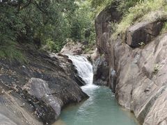 -广州白江湖森林公园