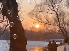 -长春市南湖公园