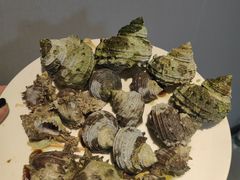 -阿军排档·烧烤