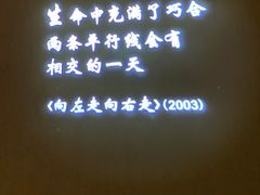 -星河寰宇IMAX影城(星河WORLD·COCO Park店)