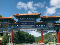 -塞罕坝国家级自然保护区