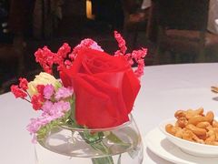 -新同乐鱼翅酒家(美丽华店)