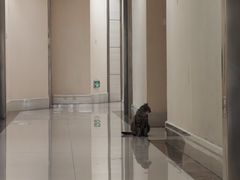 -重庆历史名人馆