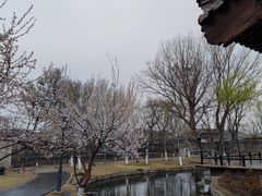 -三里河公园