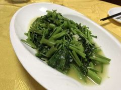 -丁老爷子苏香圆