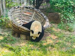 -大连森林动物园