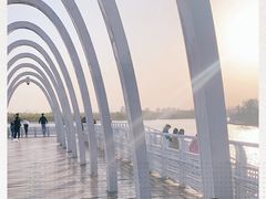 -大兴滨河森林公园