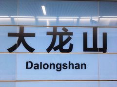 -大龙山(地铁站)