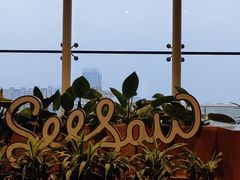 -Seesaw Coffee(朝阳大悦城店)