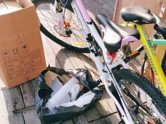 -道路口单车爱瓦士dahon大行