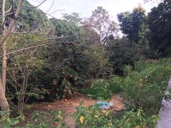 -华南国家植物园-售票处