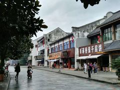 -溪口-滕头旅游景区