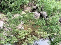 -宁波五龙潭景区