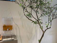 -喜茶(广州番禺奥园广场店)