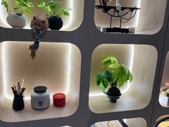 -猫窝棋牌(尚大国际店)