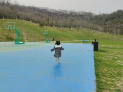 -羊山湖公园