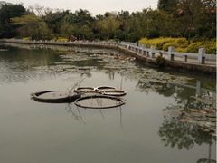 iphone_upload_pic-东湖公园