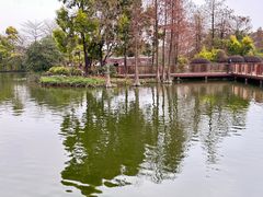 -海珠湖公园