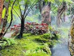 -Chom Cafe and Restaurant