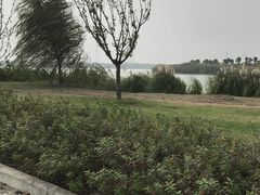 -南湖湿地公园