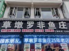 -草墩罗非鱼庄•野生菌•腊排骨(七星街上段店)