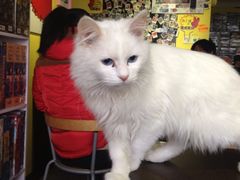 iphone_upload_pic-游人馆·桌游狼人杀团建馆(人广书城店)