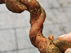 -王阿姨文昌油赞子(公园路店)