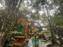 -瑞丽独树成林风景区