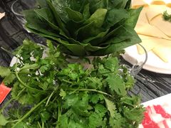 香菜-大渔小鲜火锅店