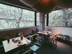 -毛辣果·酸
