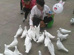 -国色天乡三期陆地乐园