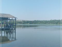 -溱湖国家湿地公园