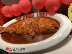 -阿五黄河大鲤鱼(英协路店)
