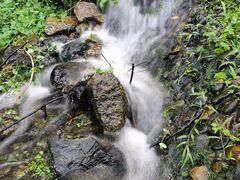 -华南国家植物园-售票处