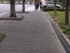 -华东政法大学(松江校区)