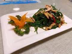 沙葱羊肚丝-牧马人奶茶馆(乌兰察布总店)