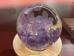 -二酉书店TOYOU BOOKS