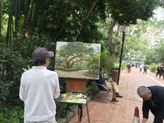 -九龙公园