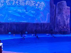 -华夏文旅海洋公园