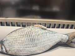 -俏立方·15年新楚菜
