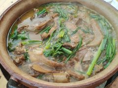 -霞姐屯昌枫木香草鸭店(海螺店)