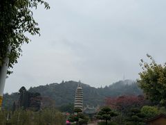 -南普陀寺