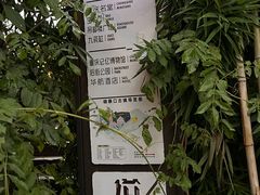 -磁器口古镇