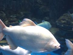 -多彩贵州城极地海洋世界