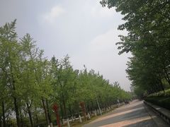 -金陵图书馆