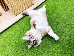 -白兔子密室(长寿路店)