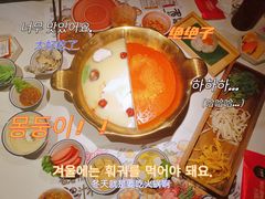 -九鼎轩脆毛肚火锅(三钢里店)
