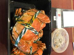 -黄记大闸蟹专卖店·活蟹·醉蟹