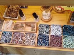 -安徽省地质博物馆