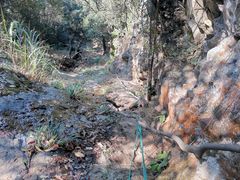 -梧桐山风景名胜区